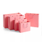 Sacco di carta rosa della cannella della biancheria intima dei sacchi di carta dell'abbigliamento di stampa offset di iso