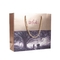 Abrazine UV ha stampato i sacchetti della spesa di carta ha personalizzato la borsa del regalo di promozione