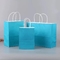 Borse di drogheria di carta su ordinazione di Logo Printed Paper Shopping Bags con le maniglie