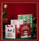 sacchi di carta del regalo di Natale di 26*32*12cm